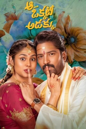 Aa Okkati Adakku (2024) Hindi Dubbed